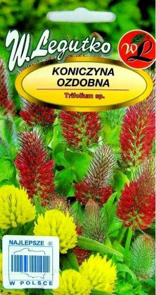 Okrasné ďateliny zmiešané semená - Trifolium sp. - 90 semien