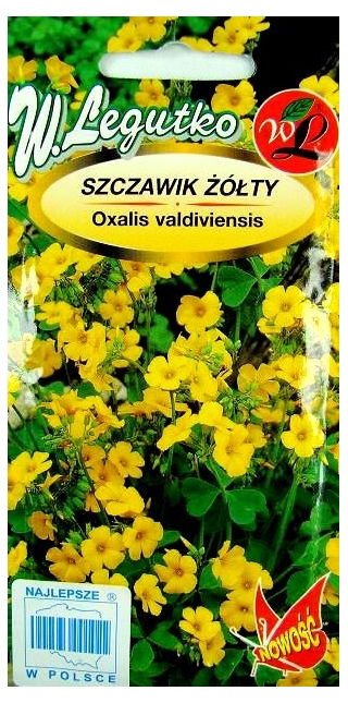 Lucky Gold Shamrock seeds - Oxalis valdiviensis - 180 seeds