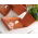 Schotel voor buiten bloempot Agro - 65 cm - Terracotta - 