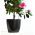 Maceta "Coubi Duo" ø 19 cm - gris - 