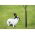 Obal mladého stromu - 80 cm - 3 kusy - 