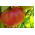 Tomate - Malinowy Olbrzym - Tomates dodues et juteuses, géantes pleines de saveur - Graines fraîches