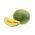 Sarı Karpuz Janosik tohumları - Citrullus lanatus - 14 tohumları