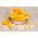 Popcorn seeds - Zea masy ssp.everta - 70 seeds