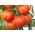 Tomato - Tigerella - Bold Striped Beauty, Eye-Catching Fruit - Fresh Seeds