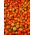 Tomato - Tigerella - Bold Striped Beauty, Eye-Catching Fruit - Fresh Seeds