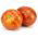 Tomato - Tigerella - Bold Striped Beauty, Eye-Catching Fruit - Fresh Seeds