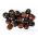 Cseresznye Paradicsom - Black cherry - fekete - 60 magok - Lycopersicon esculentum Mill