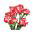 Raspberry Ripple Carnation seeds - Dianthus caryophyllus - 110 seeds