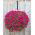 Hængende blomsterkurv med mat af kokosnødfibre - 25 cm - 