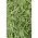 Buschbohne ‘Gracja’ Samen - Phaseolus vulgaris L. - 300 Samen -  