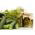 Tilli – Emerald - 2800 siemenet - Anethum graveolens L.