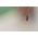 Sort myggenet 150 x 180 cm - beskyttelse mod myg og andre flyvende insekter - 