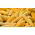 Popcorn seeds - Zea masy ssp.everta - 70 seeds