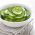 Freilandgurke  Parys Samen - Cucumis sativus - 70 Samen