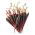Carrot Deep Purple seeds - Daucus carota var. sativus - 425 seeds