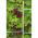 Bird repellent tape - 33 metres
