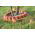 Palisade taman - rendah - 4,05 m - Terracotta - 