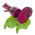 Beetroot - Opolski - Tender Roots, Perfect for Juicing and Pickling - Fresh Seeds
