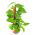 Kokospalm steunpaal - 25 mm / 60 cm - 