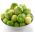 Tomatillo -Amarylla - Physalis ixocarpa - 340 Samen