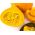Moliugai - Justynka - 28 sėklos - Cucurbita maxima