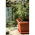 "Terra" outdoor square planter 24 cm with a saucer - terracotta-coloured