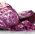 Rotkraut, Rotkohl, Spitzkraut - Kalibos - Intensive Farbe und Geschmack, späte Ernte - Samen