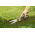 Cisaille à gazon GS42 - FISKARS - 