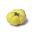 มะเขือเทศ "White Beefsteak" - ความหลากหลายสีขาว - Solanum lycopersicum  - เมล็ด