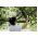 Baypas sürgüsü HOOK L70 PowerGear - 46 cm - FISKARS - 