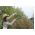 Baypas sürgüsü HOOK L70 PowerGear - 46 cm - FISKARS - 