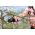 Hebel Ambossschere P53 POWER LEVEL - FISKARS - 