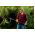 Xact weeder - FISKARS