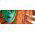Schlauchverbinder Set mit einer Düse - 3/4 "- CELLFAST - 