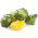 Patty Pan Squash Okra vetőmag - Cucurbita pepo - 75 mag - Cucurbita pepo var. Patisoniana - magok
