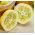 Lămâie Semințe de castravete - Cucumis sativus - Cucumis sativus ‘Citron'