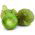 Tomatilloの種 -  Physalis ixocarpa  -  340の種 - Physalis ixocarpa Amarylla, syn. Physalis philadelphica - シーズ