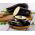 Aubergine - Black Beauty - Deep Purple Harvest for Grilling - Fresh Seeds