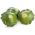 Patty Pan Squash Okra vetőmag - Cucurbita pepo - 75 mag - Cucurbita pepo var. Patisoniana - magok