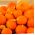 Jättepumpa - Potimarron - 15 frön - Cucurbita maxima