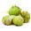 Tomatilloの種 -  Physalis ixocarpa  -  340の種 - Physalis ixocarpa Amarylla, syn. Physalis philadelphica - シーズ