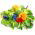 Selección de flores y hierbas comestibles - Colorido y vibrante, ¡perfecto para tus platos! - Semillas frescas