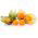 Cape Gooseberry, Hạt anh đào đất - Physalis peruviana