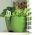 Hrnec s bylinkami, kulatý - Limes Dublo - 25 x 12 cm - bílý - 