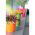 Maceta redonda con platillo - Coubi - 24 cm - Blanco - 