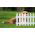 Gartenzaun - 40 cm x 3,5 m - Terrakotta - 