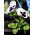 Viola wittrockiana - Silverbride, Silberbrauti - Bianco e Nero - 400 semi - Viola x wittrockiana
