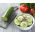 Pepino - Tessa - 105 sementes - Cucumis sativus