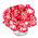 Raspberry Ripple Carnation seeds - Dianthus caryophyllus - 110 seeds